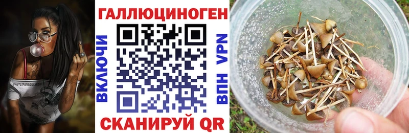 Псилоцибиновые грибы Magic Shrooms  Чишмы 